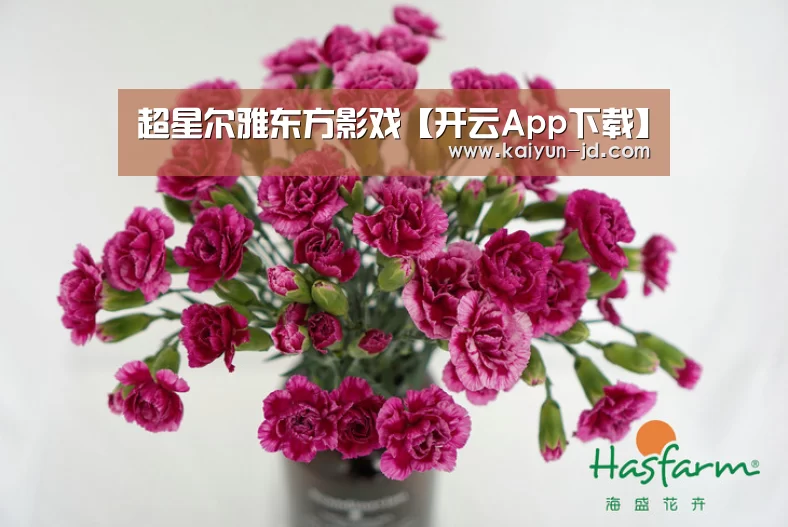 超星尔雅东方影戏【开云App下载】(图2) 开云体育下载