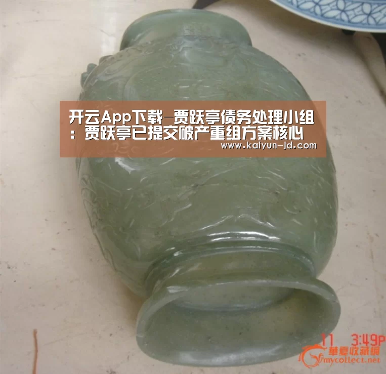 开云App下载-贾跃亭债务处理小组:贾跃亭已提交破产重组方案核心条款清单(图2) 开云体育下载